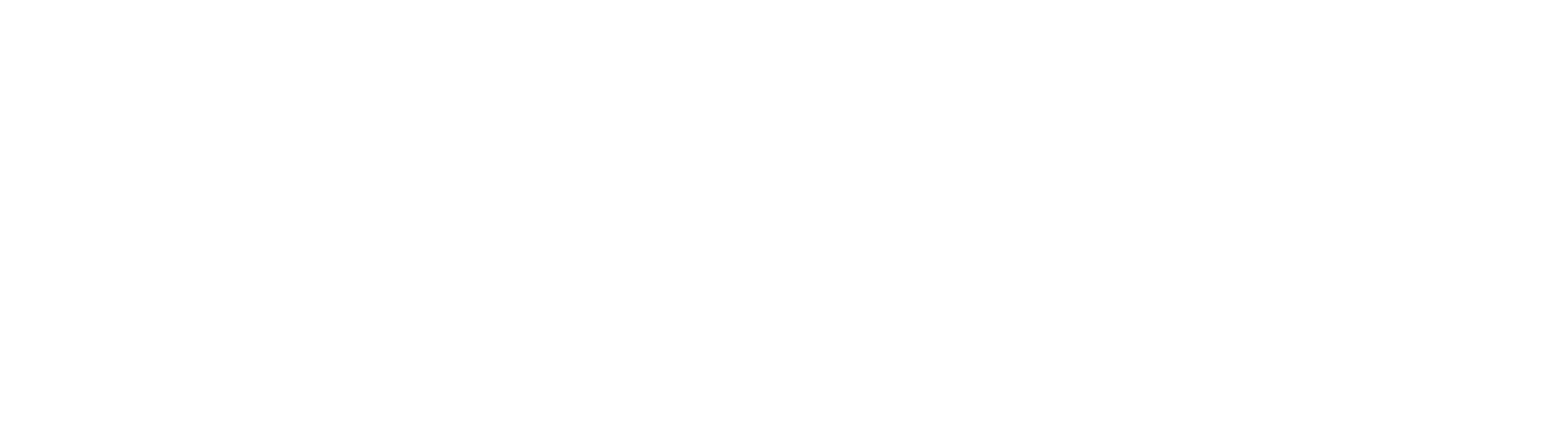 Partemie_logo_blanc